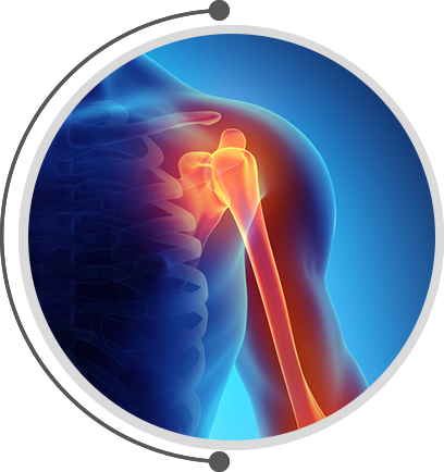 shoulder